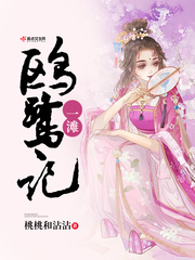 一滩海鸥